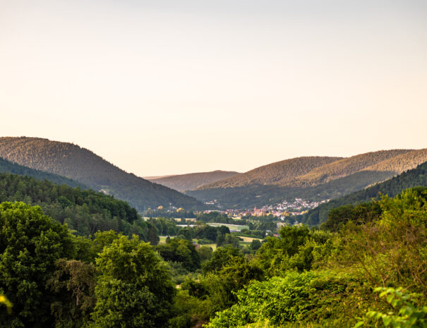 1963-KMR-2025-Christina-Reubold