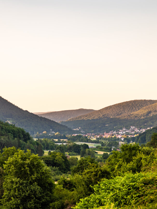 1963-KMR-2025-Christina-Reubold